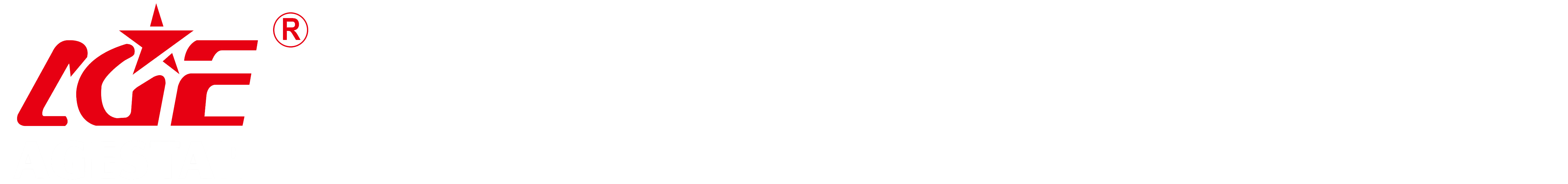 Fujian Agestar Electrical Machinery Co.,Ltd