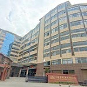 Happy Chinese New Year