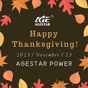 Happy Thanksgiving Day（celebrate）