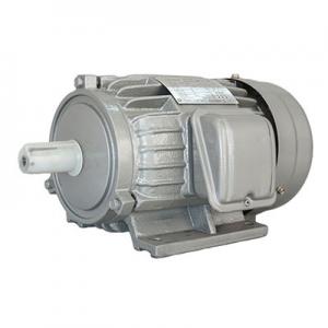 AEEF Series Three-Phase Asynchronous Induction Motor