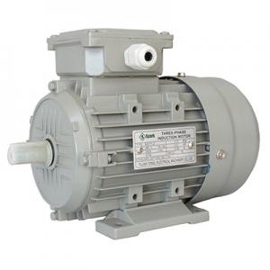 MS Series three-phase Asynchronous Induction Motor