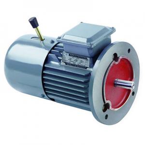 MSEJ Series three phase Asynchronous Barking Motor